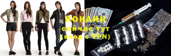 apvp Михайлов