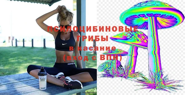 apvp Михайлов